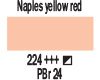 224 Naples Yellow Red